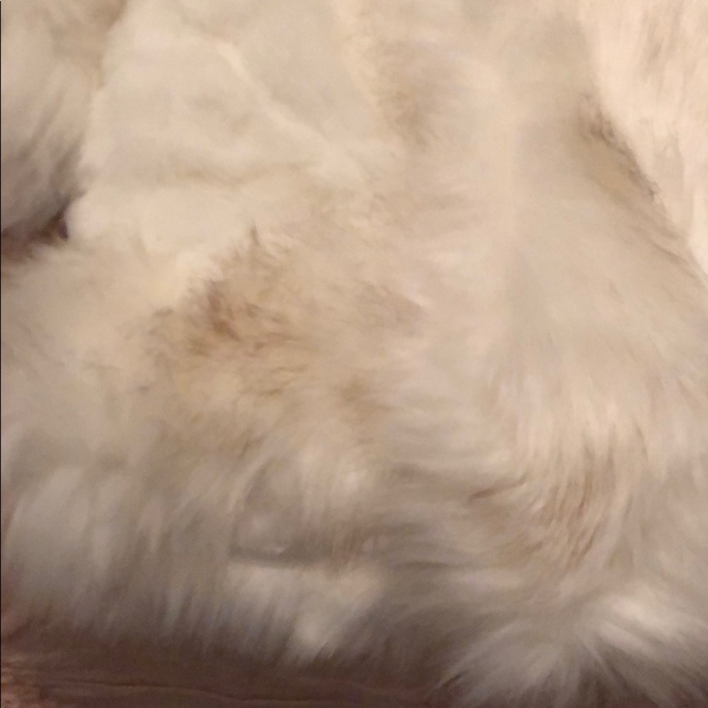 Fur coat - Picture 3 of 6